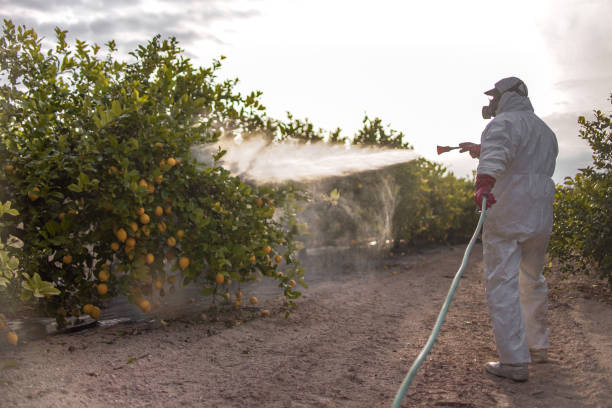 Best Best Pest Control Near Me  in Lake Leann, MI